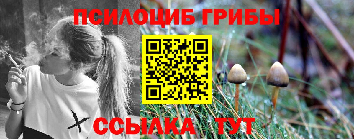 продажа наркотиков  Вход с VPN  Подольск  Галлюциногенные грибы GOLDEN TEACHER 